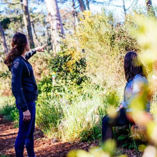 Contes fantastiques dans la forêt de Camicas